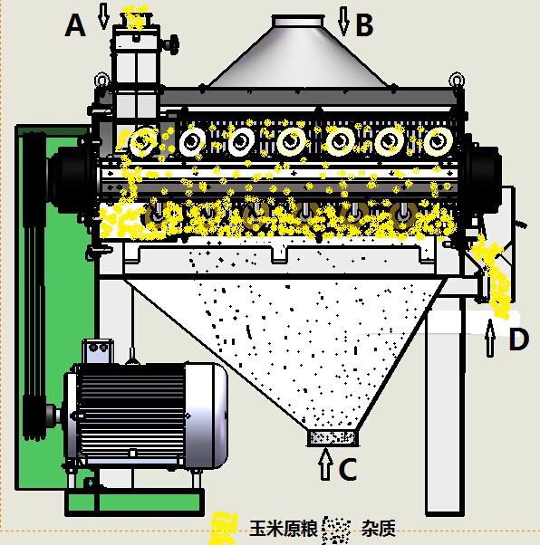玉米深加工刷光机(图3)