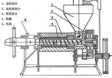 玉米油加工设备：玉米胚芽榨油机(图1)